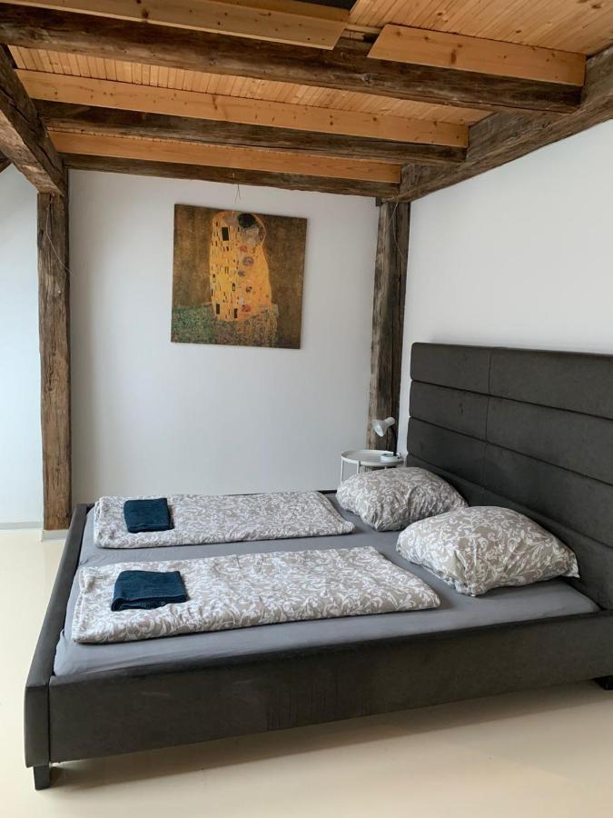 Central Living Apartments - Berggasse Viyana Dış mekan fotoğraf